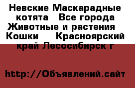 Невские Маскарадные котята - Все города Животные и растения » Кошки   . Красноярский край,Лесосибирск г.